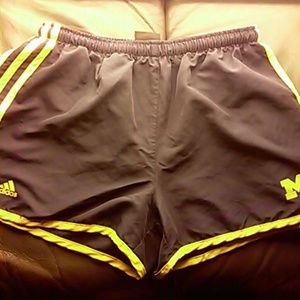 university of Michigan adidas workout shorts